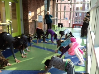 Several people doing yoga in circle